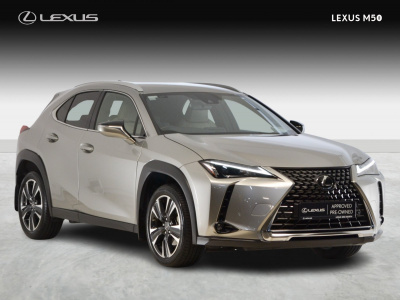 Lexus UX250h