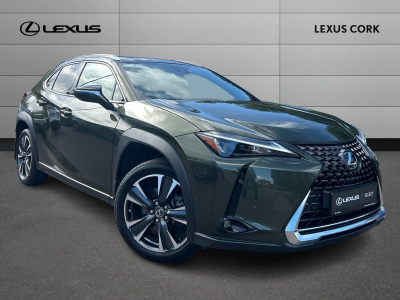 LEXUS UX250h