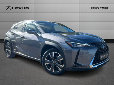 Lexus UX250h