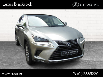 LEXUS NX300H