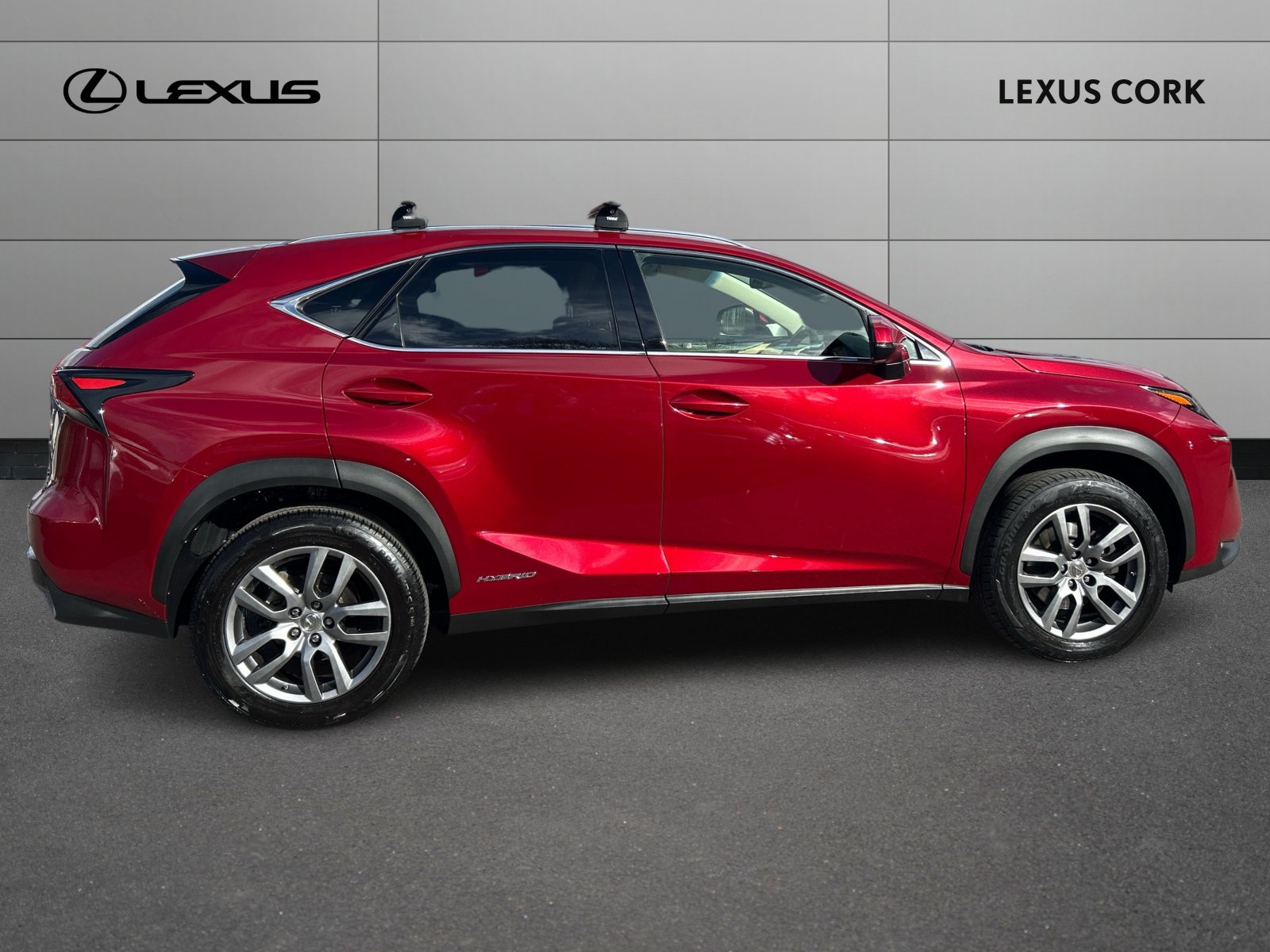 Lexus Used Car Details
