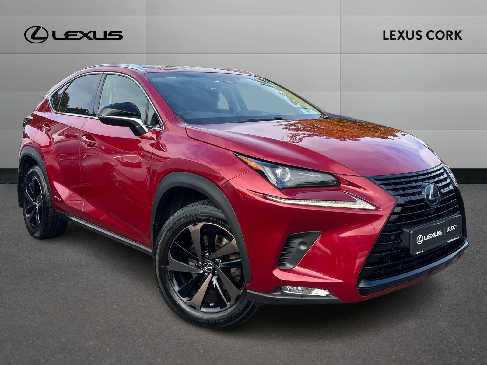 Lexus RC F 5.0
